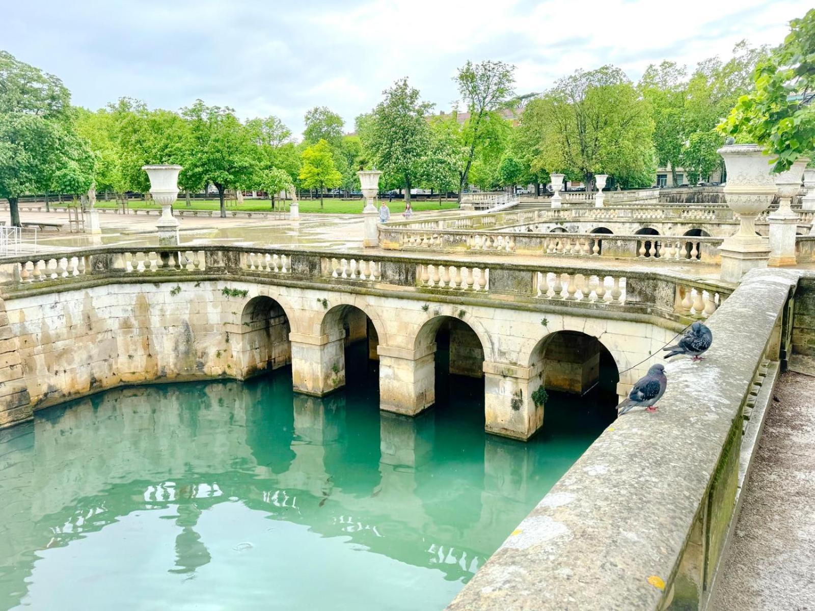 Au Coeur Du Centre Historique - Immeuble Classe - Terrasse - Climatise Nîmes Exterior foto
